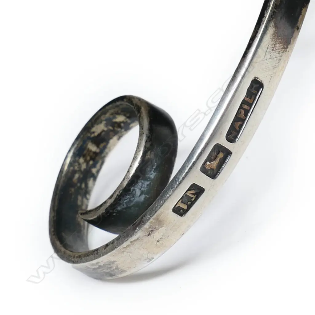 John Neilsen (Napier) silver mounted emu egg cup, Image 1++
